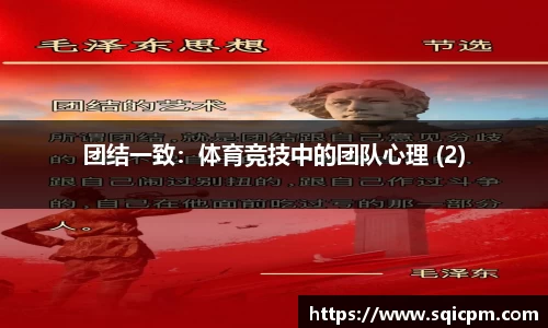 团结一致：体育竞技中的团队心理 (2)